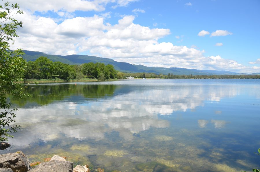 Le lac de Divonne, face au Jura