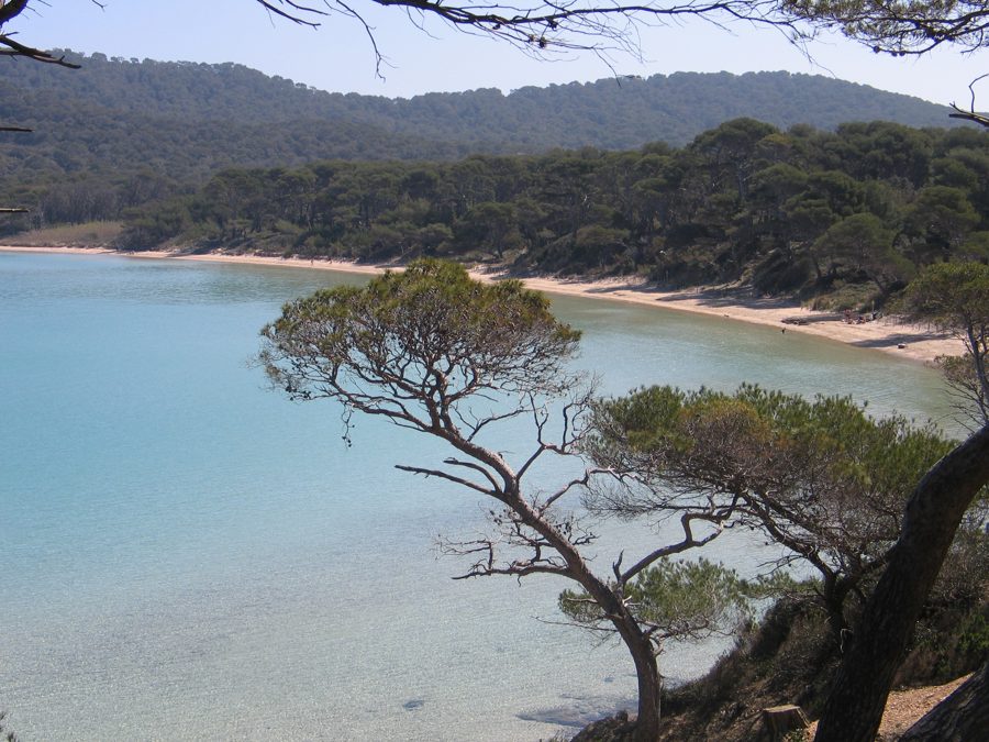 La plage Notre-Dame à Porquerolles, au large de Hyères