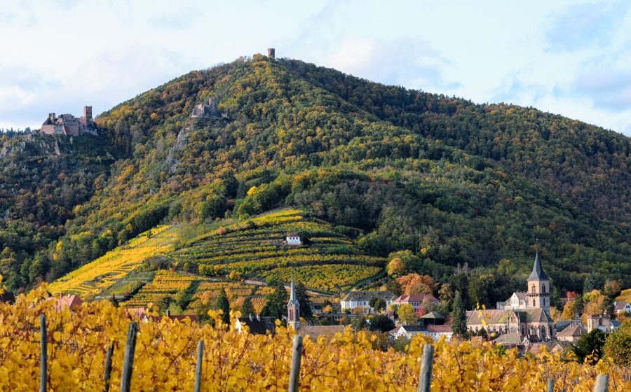 Ribeauvillé et ses trois châteaux en automne (paysage, pas le bâtiment du resort)